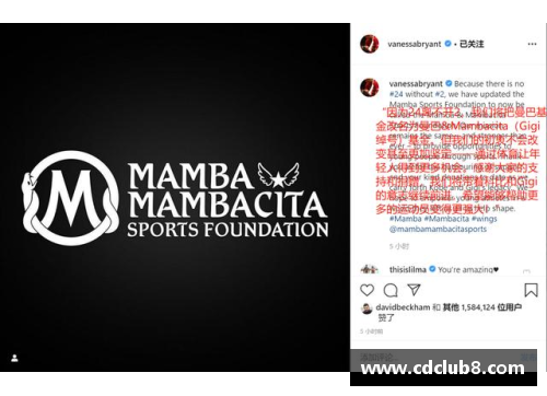 当今体育巨星的成功秘笈：从训练到心态的全方位探索
