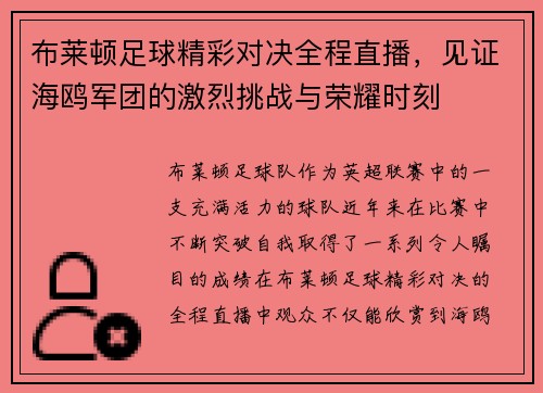 布莱顿足球精彩对决全程直播，见证海鸥军团的激烈挑战与荣耀时刻